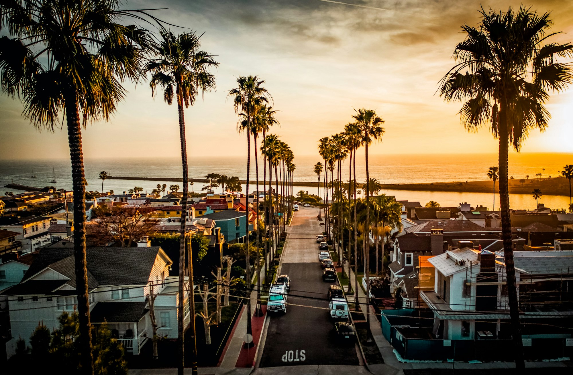 Los Angeles view — Hills AI Awareness Diagnostic