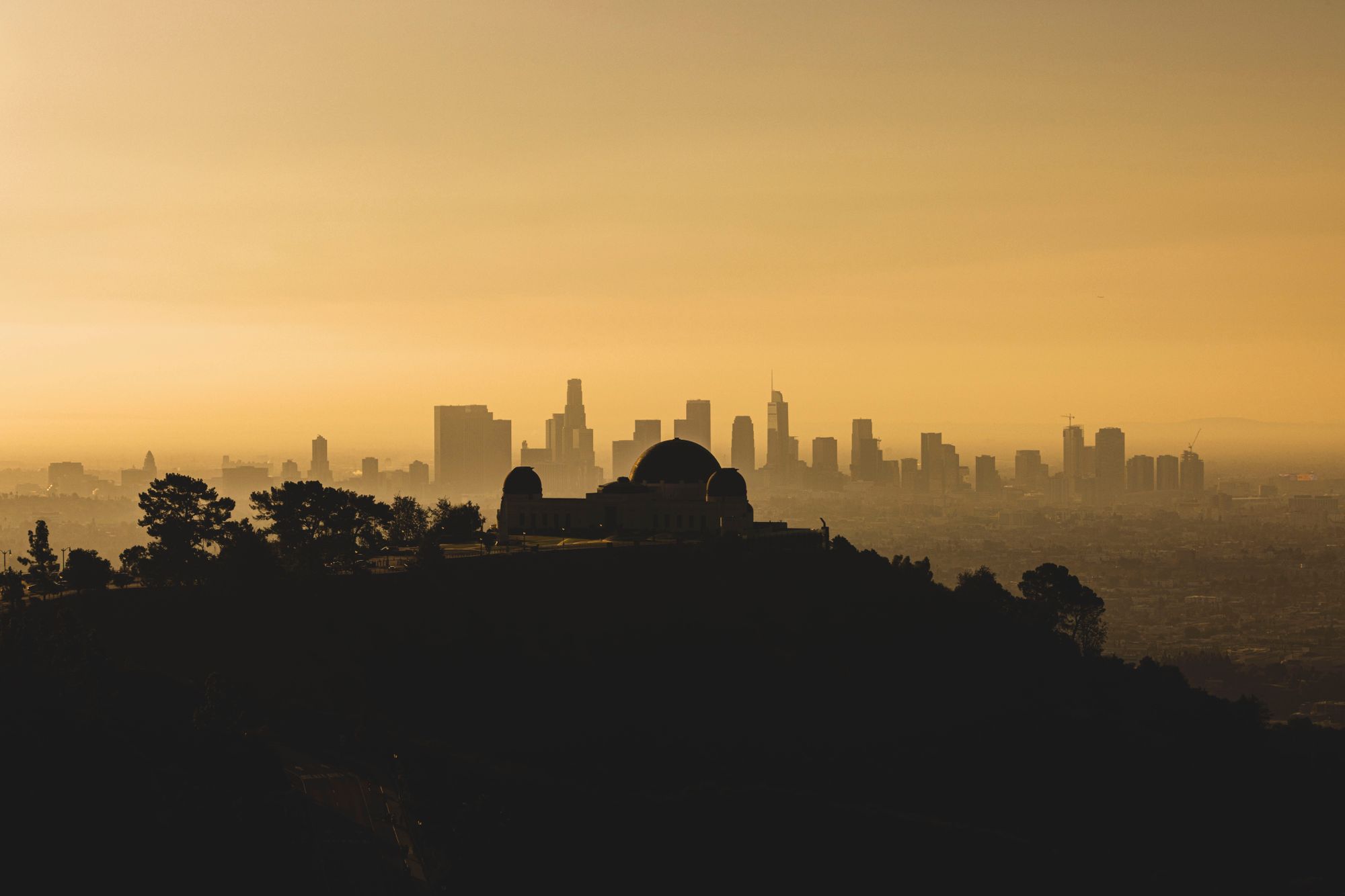 Los Angeles view — Hills AI Conversion Domination